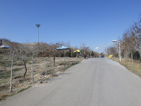 RIMG1619