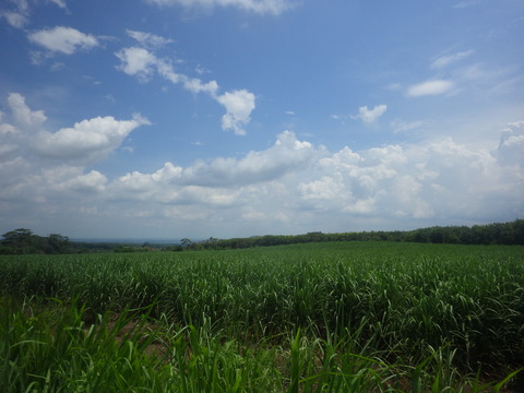 RIMG5175