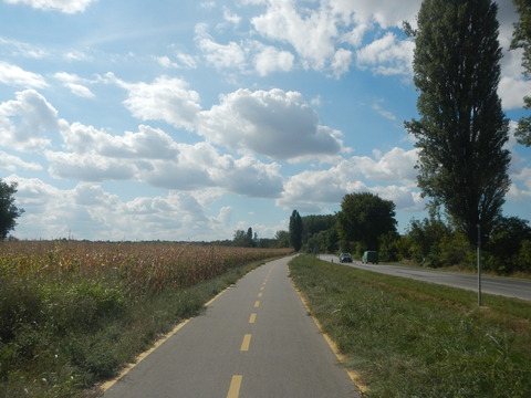DSCN2201