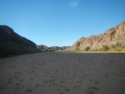 DSCN5598