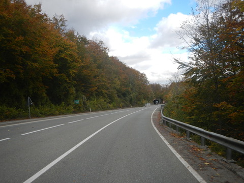 DSCN3413