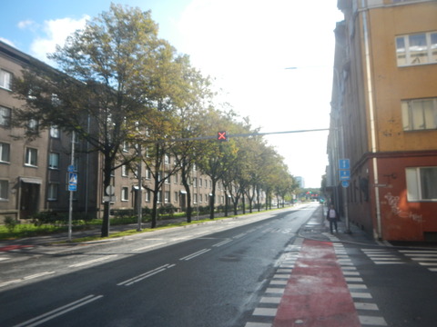 DSCN7274