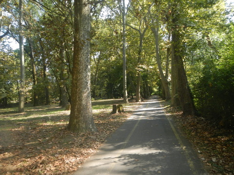 DSCN2153