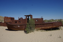 IMGP9819
