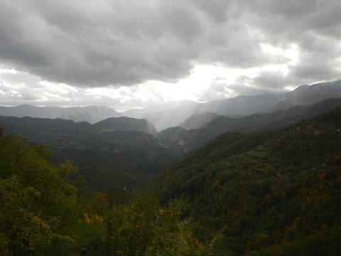 DSCN3411