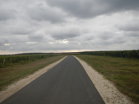 DSCN2186