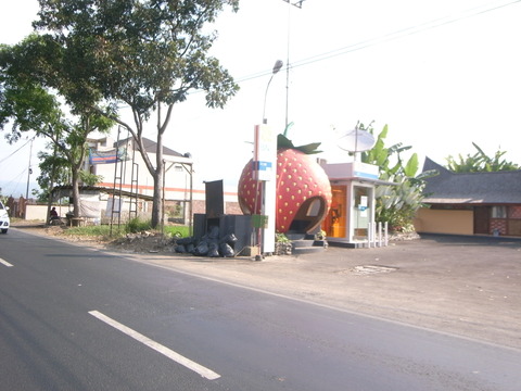 RIMG0066