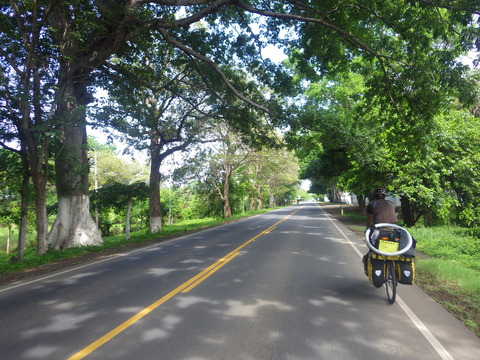RIMG5591