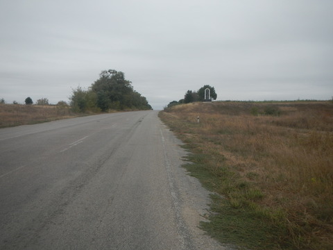 DSCN7990