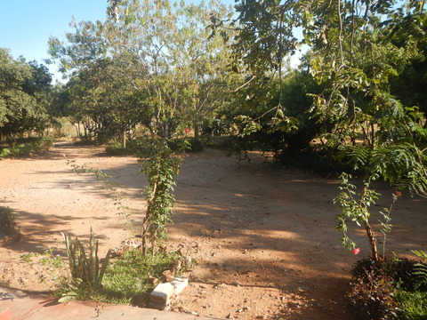 DSCN4231