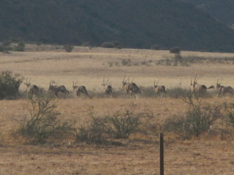 DSCN5314
