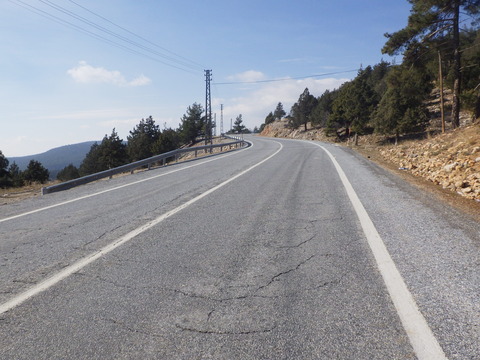 RIMG0795