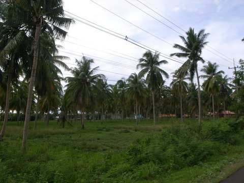 RIMG0084
