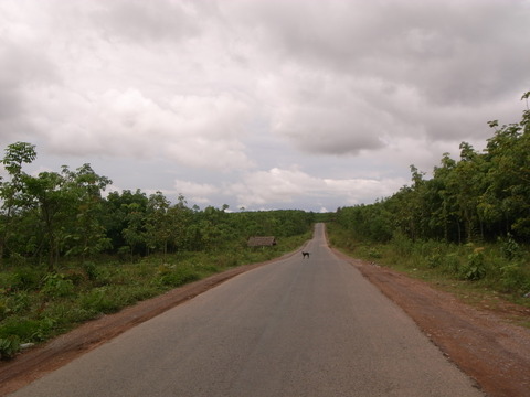 RIMG0080