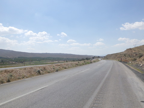 RIMG2544