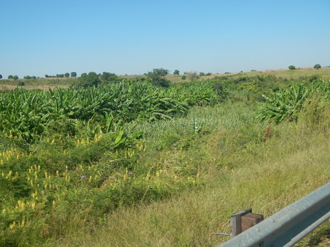 DSCN4146