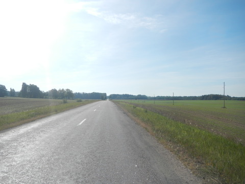 DSCN7375