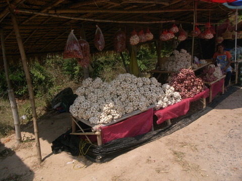 RIMG0077