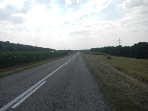 DSCN1005