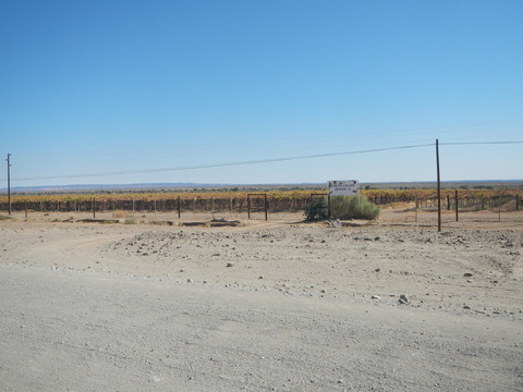 DSCN5494