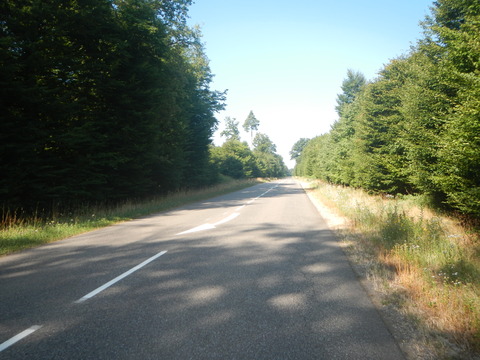 DSCN0949