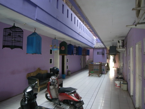 RIMG0002