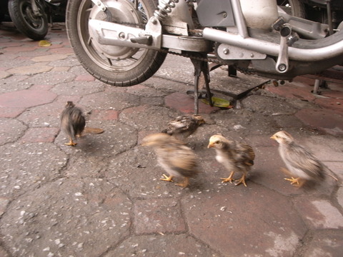 RIMG0114
