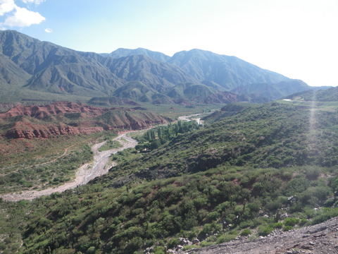 IMGP0247