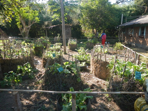 DSCN4140