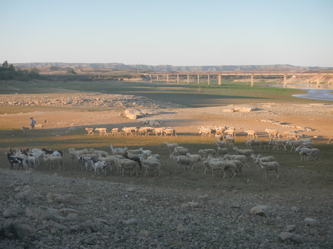 DSCN2608