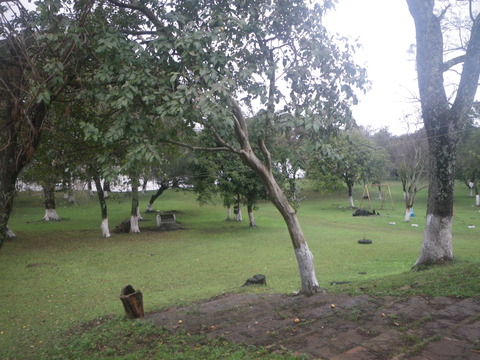 IMGP3312