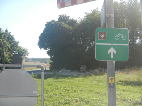 DSCN1960