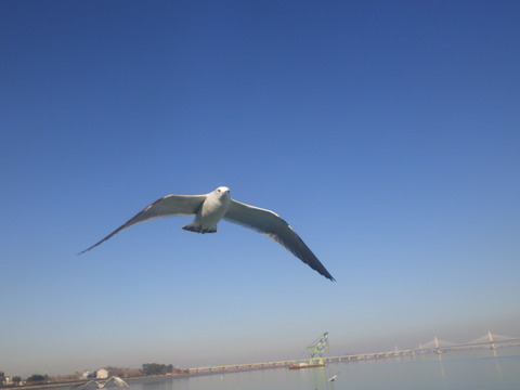 RIMG7274