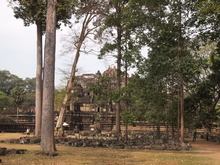 P3110650