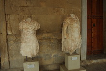IMGP9488