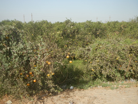 DSCN9597