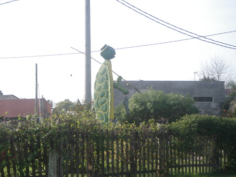 IMGP3217