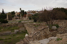 IMGP9484