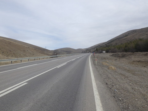 RIMG0823