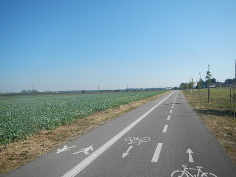 DSCN2070