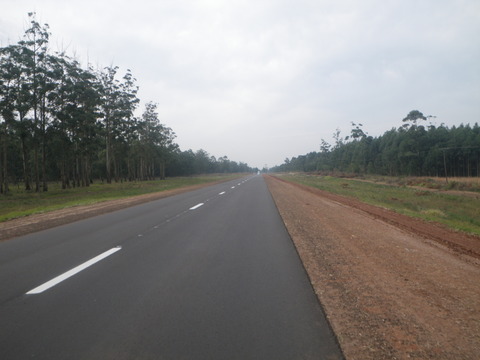 IMGP3299