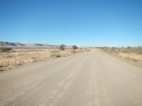 DSCN5394
