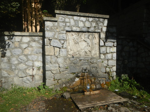 DSCN8334