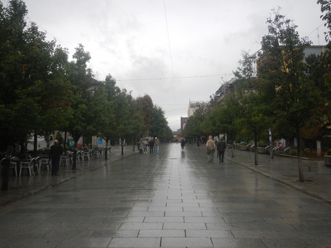 DSCN3582