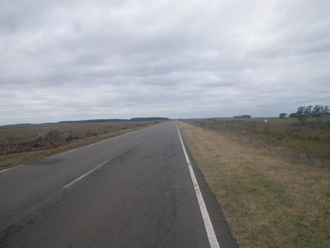 IMGP3243