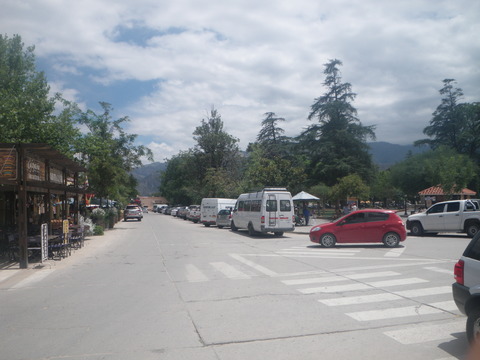 IMGP0106