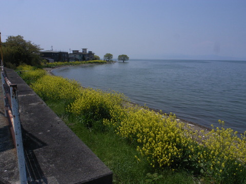 R0045209
