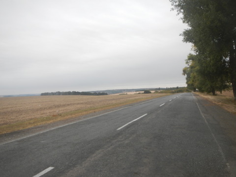 DSCN8002