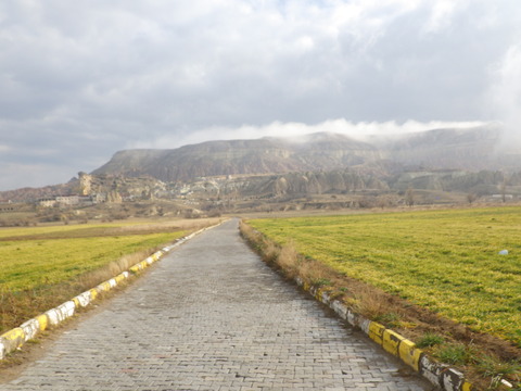 RIMG0906