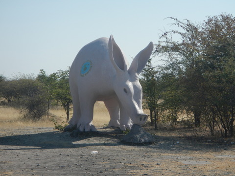 DSCN4689